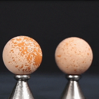 Rolo Facial com pedra vulcânica removedor de oleosidade