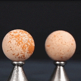 Rolo Facial com pedra vulcânica removedor de oleosidade