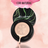 Base Mushroom Nature